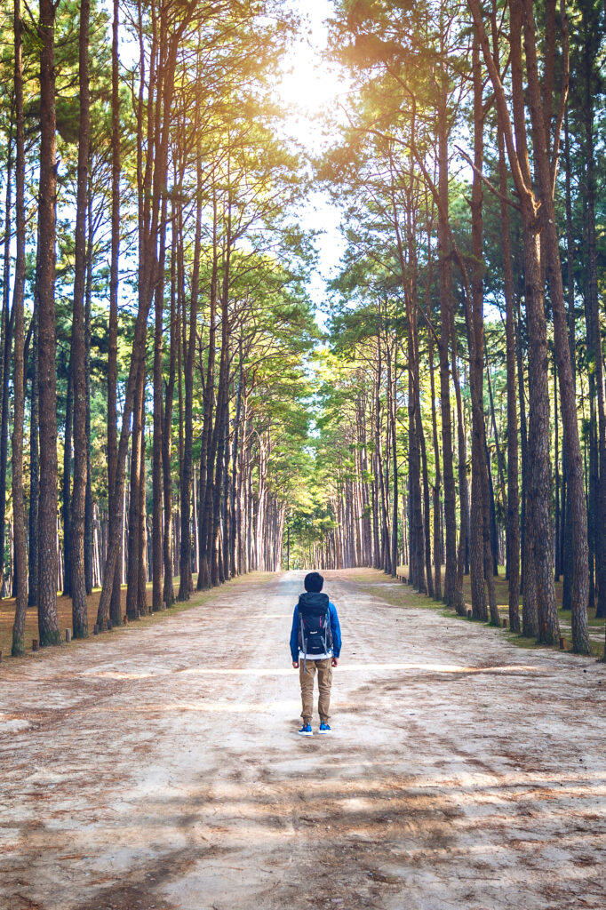 Natural walk